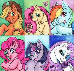 Size: 1280x1216 | Tagged: safe, artist:blackfrost, applejack, fluttershy, pinkie pie, rainbow dash, rarity, twilight sparkle, earth pony, pegasus, pony, unicorn, g4, mane six