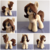 Size: 2000x2000 | Tagged: safe, artist:burgunzik, oc, oc only, pegasus, pony, female, high res, irl, mare, photo, plushie, solo