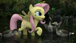 Size: 1920x1080 | Tagged: safe, artist:littlefisky, fluttershy, goose, g4, 3d, animal, female, lake, solo, water