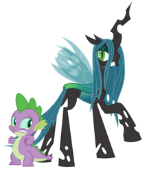 Size: 1012x1180 | Tagged: safe, edit, vector edit, queen chrysalis, spike, changeling, changeling queen, dragon, g4, body swap, duo, female, former queen chrysalis, grin, gritted teeth, male, payback, revenge, scared, simple background, smiling, spell gone wrong, this will end in pain, this will end in tears, this will end in tears and/or death, transparent background, vector, worried