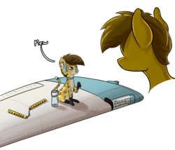 Size: 2048x1754 | Tagged: safe, artist:twitchy rudder, oc, oc only, oc:twitchy rudder, cat, male, plane, solo