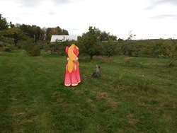 Size: 4032x3024 | Tagged: safe, gameloft, big macintosh, g4, apple orchard, augmented reality, irl, photo, ponies in real life, solo