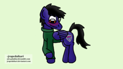 Size: 1920x1080 | Tagged: safe, artist:jrapcdaikari, oc, oc only, oc:paladin colt, pegasus, pony, blushing, clothes, cute, green background, male, ocbetes, simple background, stallion, sweater