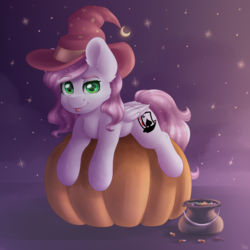 Size: 2000x2000 | Tagged: safe, artist:spirit-dude, oc, oc only, pegasus, pony, commission, cute, female, halloween, hat, high res, holiday, looking at you, mare, ocbetes, pumpkin, smiling, witch hat, ych result