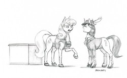 Size: 1500x926 | Tagged: safe, artist:baron engel, oc, oc only, oc:brilliant flower, oc:marble vein, earth pony, pony, unicorn, female, grayscale, hat, mare, monochrome, pencil drawing, raised hoof, simple background, sketch, smiling, spats, traditional art, white background