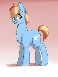 Size: 900x1200 | Tagged: safe, artist:passigcamel, oc, oc only, oc:matt dyllis, earth pony, pony, bandaid, bandaid on nose, gradient background, magical lesbian spawn, male, offspring, parent:applejack, parent:rainbow dash, parents:appledash, solo, stallion, whistle