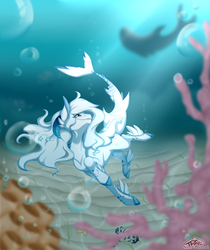 Size: 2600x3100 | Tagged: safe, artist:pinktabico, oc, oc only, original species, shark pony, commission, crepuscular rays, female, high res, underwater