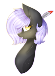 Size: 1015x1399 | Tagged: safe, artist:karinanight125, oc, oc only, oc:cloudy night, pony, bust, female, mare, portrait, simple background, solo, transparent background