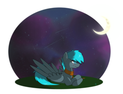 Size: 4232x3232 | Tagged: safe, artist:alie4derpy, oc, oc only, oc:alternate, clothes, male, night bg, scarf, stallion