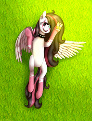 Size: 2077x2713 | Tagged: safe, artist:deltahedgehog, oc, oc only, oc:tiny jiss, pegasus, pony, choker, cute, female, grass, heterochromia, high res, mare, simple background, solo, spiked choker