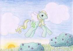 Size: 1024x723 | Tagged: safe, artist:normaleeinsane, morning glory, flutter pony, g1, female, solo, traditional art