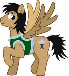 Size: 1102x1213 | Tagged: safe, artist:malte279, oc, oc only, oc:woodwinger, pegasus, pony, free to use, simple background, transparent background, vector