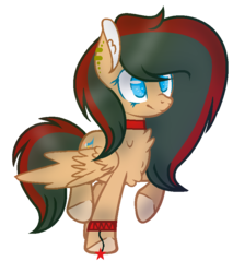 Size: 739x869 | Tagged: safe, artist:theapplebeauty, oc, oc only, oc:coco, pegasus, pony, chest fluff, female, mare, simple background, solo, transparent background