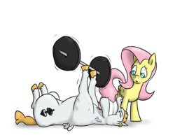 Size: 3000x2310 | Tagged: safe, artist:timsplosion, bulk biceps, fluttershy, pegasus, pony, fanfic:shy and the bluff, g4, ear piercing, earring, fanfic, fanfic art, female, high res, jewelry, mare, piercing, simple background, transparent background, weight, weight lifting