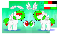 Size: 1600x944 | Tagged: safe, artist:bl--blacklight, oc, oc only, oc:rally, pegasus, pony, female, filly, offspring, parent:oc:litch, parent:oc:ray scratch, parents:oc x oc, solo, watermark