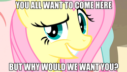 Size: 2560x1440 | Tagged: safe, artist:dwk, edit, edited screencap, screencap, fluttershy, totally legit recap, a bird in the hoof, discordant harmony, g4, always works, anti-bronybait, bronybait, dreamworks face, female, flutterbitch, image macro, meme, out of character, smug, solo