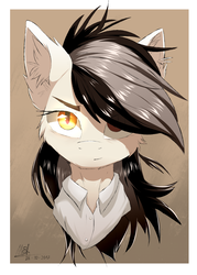 Size: 2000x2800 | Tagged: safe, artist:morningbullet, oc, oc only, oc:noot, earth pony, pony, bust, cheek fluff, clothes, ear fluff, female, high res, mare, shirt, signature, slit pupils, solo