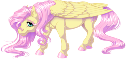 Size: 1882x887 | Tagged: safe, artist:kittehkatbar, fluttershy, pegasus, pony, g4, colored hooves, female, folded wings, hoers, looking at you, mare, simple background, smiling, solo, tail feathers, transparent background, unshorn fetlocks, wings