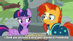 Size: 960x540 | Tagged: safe, edit, edited screencap, screencap, sunburst, twilight sparkle, alicorn, pony, unicorn, g4, shadow play, caption, duo, female, image macro, male, mare, meme, out of context, ponehenge, ship:twiburst, shipping, stallion, starswirl's book, straight, twilight sparkle (alicorn)