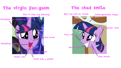 Size: 1920x1080 | Tagged: safe, screencap, twilight sparkle, alicorn, pony, g4, season 1, season 7, shadow play, the cutie mark chronicles, comparison, criticism, cropped, faic, misspelling, op is a duck, op is trying to start shit, twilight sparkle (alicorn), virgin walk, wat