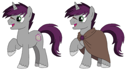 Size: 2301x1309 | Tagged: safe, shadow lock, pony, unicorn, g4, cloak, clothes, male, reference sheet, simple background, solo, stallion, white background