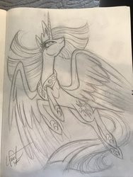 Size: 768x1024 | Tagged: safe, artist:lauren faust, twilight sparkle, alicorn, pony, g4, belly, concave belly, female, hilarious in hindsight, large wings, long tail, looking up, low angle, mare, monochrome, older, older twilight, older twilight sparkle (alicorn), pencil drawing, predicted the show, sketch, slender, smiling, solo, spread wings, tail, thin, traditional art, twilight sparkle (alicorn), ultimate twilight, wings