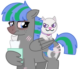 Size: 3342x2951 | Tagged: safe, artist:kindheart525, oc, oc only, oc:storm strike, oc:taaffeite, cat, pegasus, pony, kindverse, allergies, high res, parent:blossomforth, parent:thunderlane, parents:blossomlane, pet oc, red nosed, reddened eyes, scratches, simple background, tissue, tissue box, white background