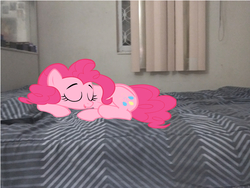 Size: 2662x1997 | Tagged: safe, pinkie pie, g4, bed, irl, photo, ponies in real life, sleeping, vector, window