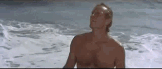 full.gif