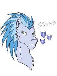 Size: 768x1024 | Tagged: safe, artist:gaingn3000, oc, oc only, oc:stratus, cutie mark, name, shadowbolts, solo