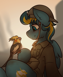 Size: 1657x2000 | Tagged: safe, artist:whitepone, oc, oc only, oc:bolterdash, bird, cockatiel, pegasus, pony, gift art, helmet, looking at each other, male, military, sitting, stallion