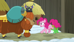 Size: 1280x720 | Tagged: safe, screencap, gummy, pinkie pie, prince rutherford, pony, yak, g4, not asking for trouble, cloven hooves, female, male
