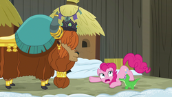 Size: 1280x720 | Tagged: safe, screencap, gummy, pinkie pie, prince rutherford, alligator, earth pony, pony, yak, g4, not asking for trouble, cloven hooves, crown, ear piercing, earring, female, horn, horn ring, jewelry, male, piercing, regalia