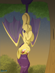 Size: 3000x4000 | Tagged: safe, artist:fluffyxai, oc, oc only, bat pony, pony, bat wings, chest fluff, cute, cute little fangs, fangs, hanging, hanging upside down, looking down, looking up, solo, tree