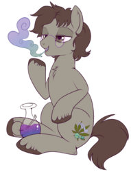 Size: 660x866 | Tagged: safe, artist:lulubell, oc, oc only, earth pony, pony, bong, drugs, male, smoking, solo, stallion