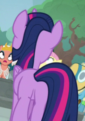 Size: 260x368 | Tagged: safe, screencap, fluttershy, meadowbrook, somnambula, twilight sparkle, alicorn, pony, g4, shadow play, butt, cropped, healer's mask, mask, plot, twibutt, twilight sparkle (alicorn)