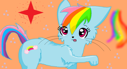 Size: 994x542 | Tagged: safe, artist:warriorcatslongtail, rainbow dash (g3), cat, g3, catified, female, solo, species swap
