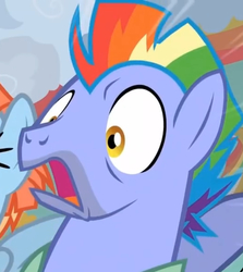 Size: 897x1007 | Tagged: safe, screencap, bow hothoof, windy whistles, pegasus, pony, g4, parental glideance, beard, cropped, facial hair, female, male, mare, offscreen character, shocked, solo focus, stallion