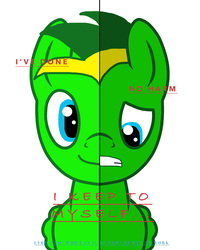 Size: 2000x2500 | Tagged: safe, artist:didgereethebrony, oc, oc only, oc:didgeree, two sided posters, depressed, high res, needs more saturation, sad, solo