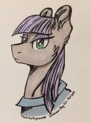 Size: 1024x1385 | Tagged: safe, artist:celticsphinx, maud pie, earth pony, pony, g4, bust, female, portrait, solo, traditional art