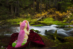 Size: 2500x1667 | Tagged: safe, artist:natureshy, artist:qtpony, fluttershy, g4, autumn, blanket, clothes, creek, equestria: into the wild, forest, irl, life size, lying down, nature, outdoors, photo, photography, plushie, ponies in real life, rainforest, socks, striped socks, washington, water