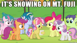 Size: 610x343 | Tagged: safe, apple bloom, cucumber seed, kettle corn, scootaloo, skeedaddle, sweetie belle, tulip swirl, earth pony, pegasus, pony, unicorn, g4, marks and recreation, colt, female, filly, game grumps, haiku, image macro, imgur, male, meme