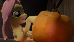 Size: 1280x720 | Tagged: safe, artist:theacepony, fluttershy, bat pony, g4, 3d, flutterbat, pumpkin, race swap, source filmmaker