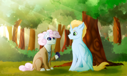 Size: 3500x2100 | Tagged: safe, artist:isorrayi, oc, oc only, oc:harmony star, oc:pearly stitch, alicorn, earth pony, pony, alicorn oc, clothes, crepuscular rays, female, food, forest, grapes, high res, hoof hold, male, mare, sitting, stallion, tree