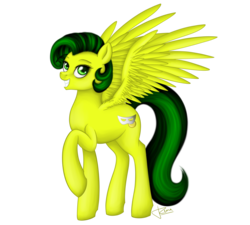 Size: 2000x1800 | Tagged: safe, artist:puggie, oc, oc only, oc:sunspot, pegasus, pony, commission, grin, raised hoof, simple background, smiling, transparent background