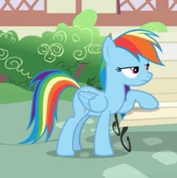 Size: 553x557 | Tagged: safe, screencap, rainbow dash, pegasus, pony, daring done?, g4, cropped, female, solo, wings
