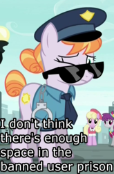 Size: 500x759 | Tagged: safe, edit, edited screencap, screencap, copper top, luckette, silver berry, earth pony, pony, g4, the gift of the maud pie, confused, cuffs, cute, female, frown, image macro, meme, one eye closed, police officer, police pony, solo focus, sunglasses, wink