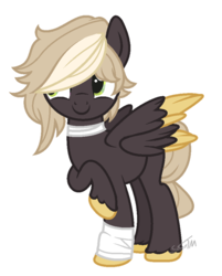 Size: 750x935 | Tagged: safe, artist:sugartm, oc, oc only, oc:acims, pegasus, pony, base used, female, mare, simple background, solo, transparent background