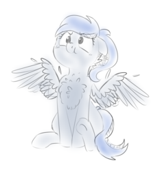 Size: 1672x1819 | Tagged: safe, artist:pucksterv, oc, oc only, oc:acela, pegasus, pony, behaving like a bird, chest fluff, cute, ocbetes, solo, wings