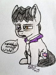 Size: 1832x2443 | Tagged: safe, artist:binkyt11, withers, earth pony, pony, g4, bags under eyes, chibi, ear fluff, henchmen, heterochromia, male, missing accessory, solo, stallion, tired, traditional art